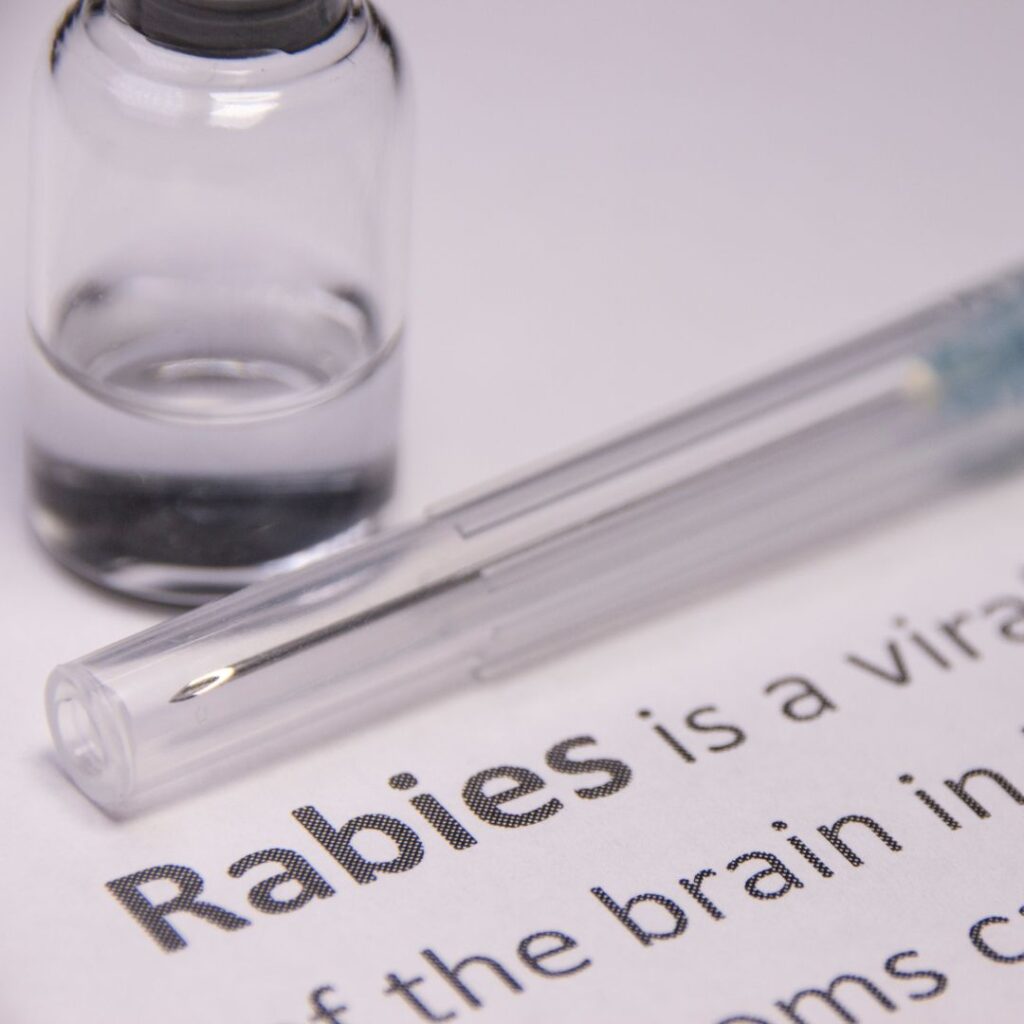Vaccine bottle and rabies definition