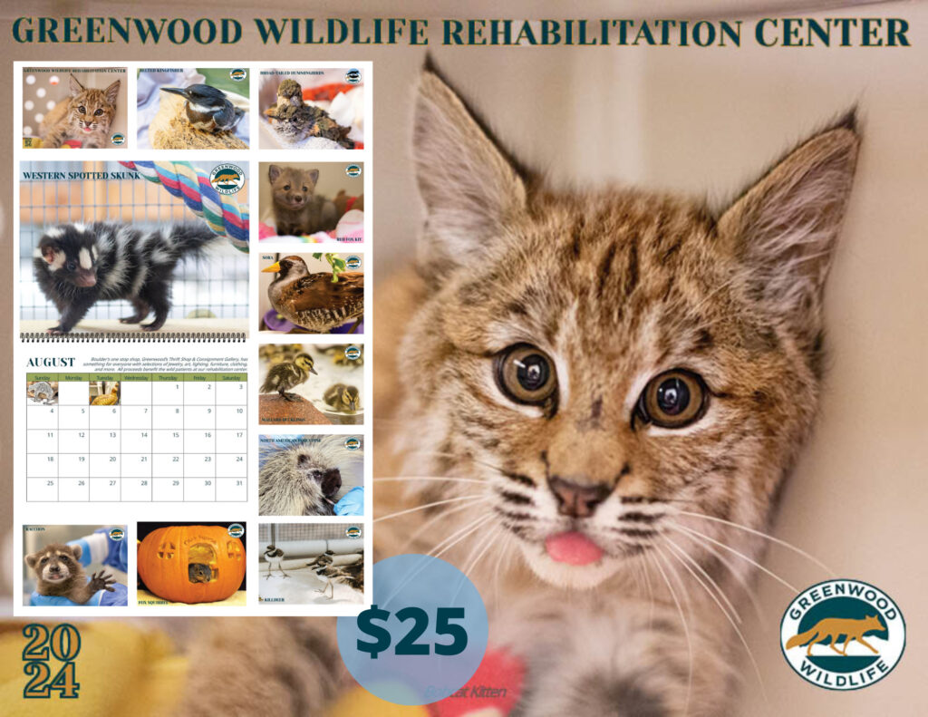 Greenwood Merchandise – Greenwood Wildlife Rehabilitation Center