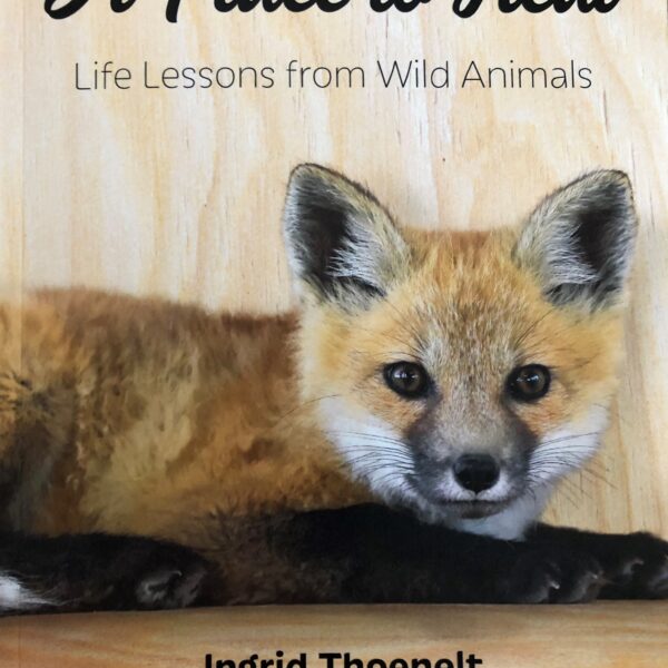 "A Place to Heal" Life Lessons from Wild Animals