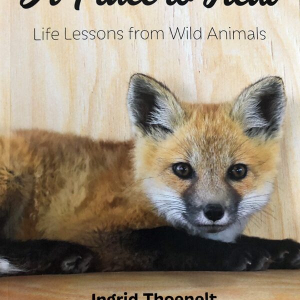 "A Place to Heal" Life Lessons from Wild Animals - Softcover