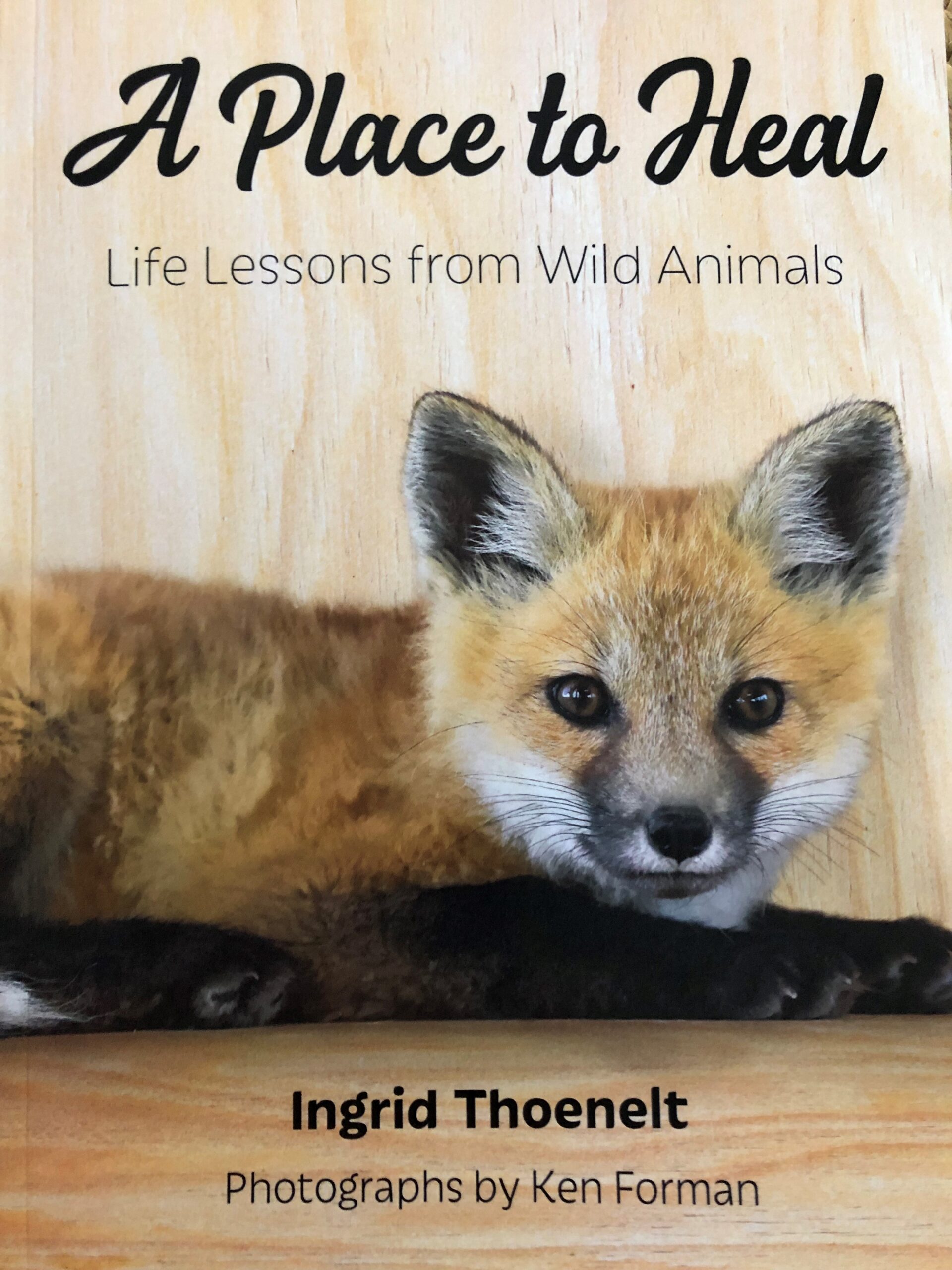 A Place to Heal” Life Lessons from Wild Animals – Softcover | Greenwood  Wildlife Rehabilitation Center